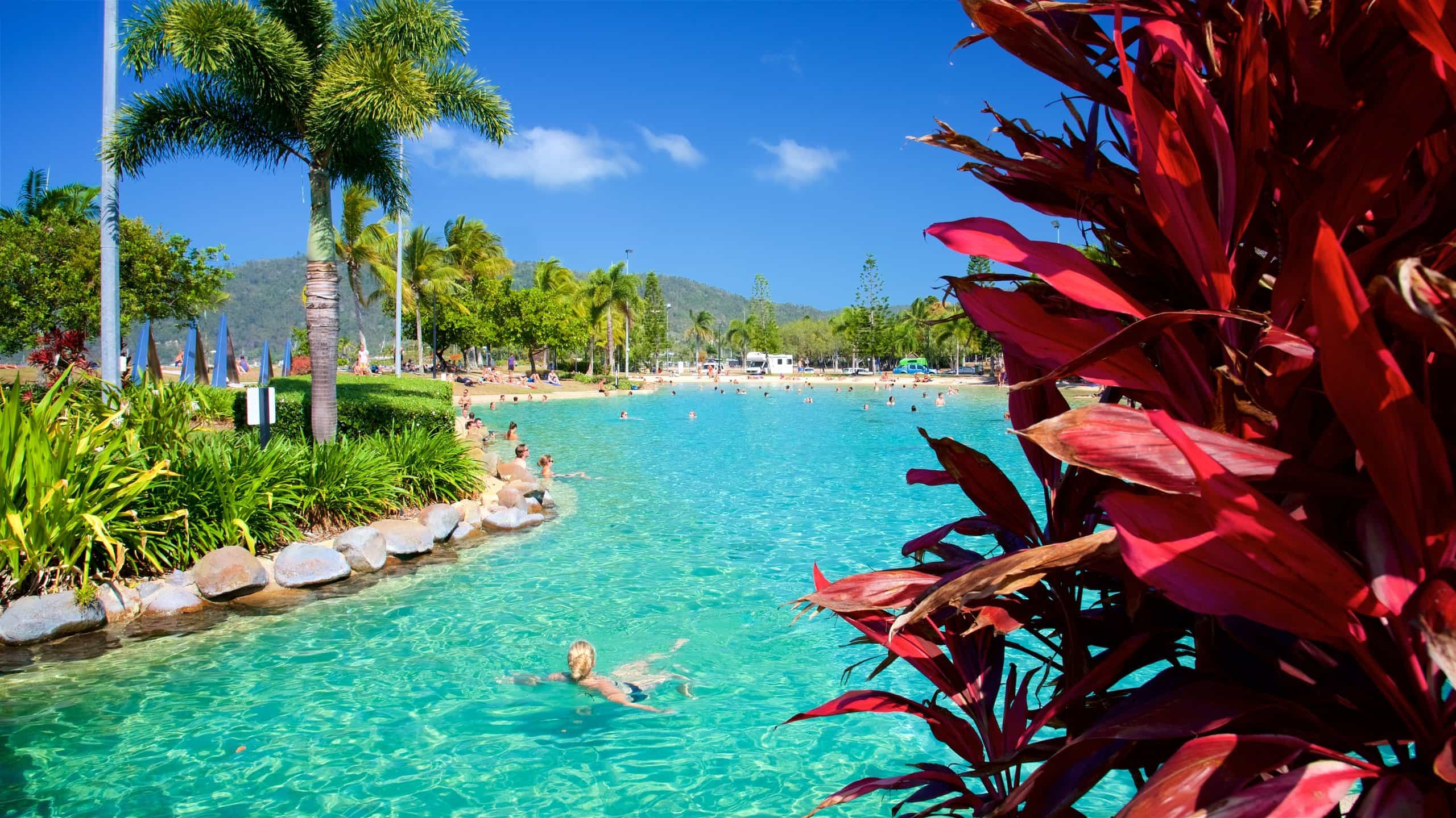 Airlie Beach Lagoon under blue sky