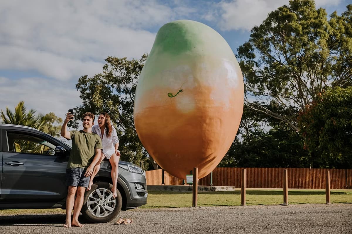 Bowen Big Mango
